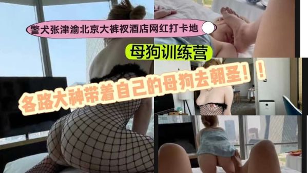 母狗训练营朝圣：警犬张津渝大裤衩酒店被各路大神轮番内射